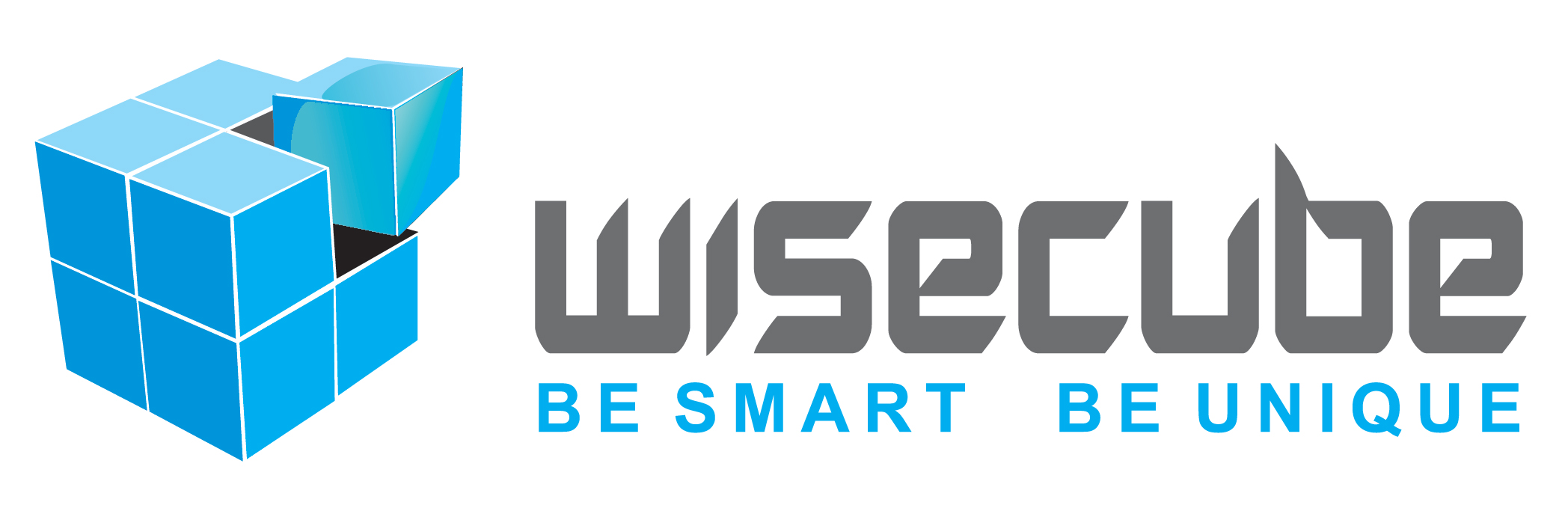 Wisecube